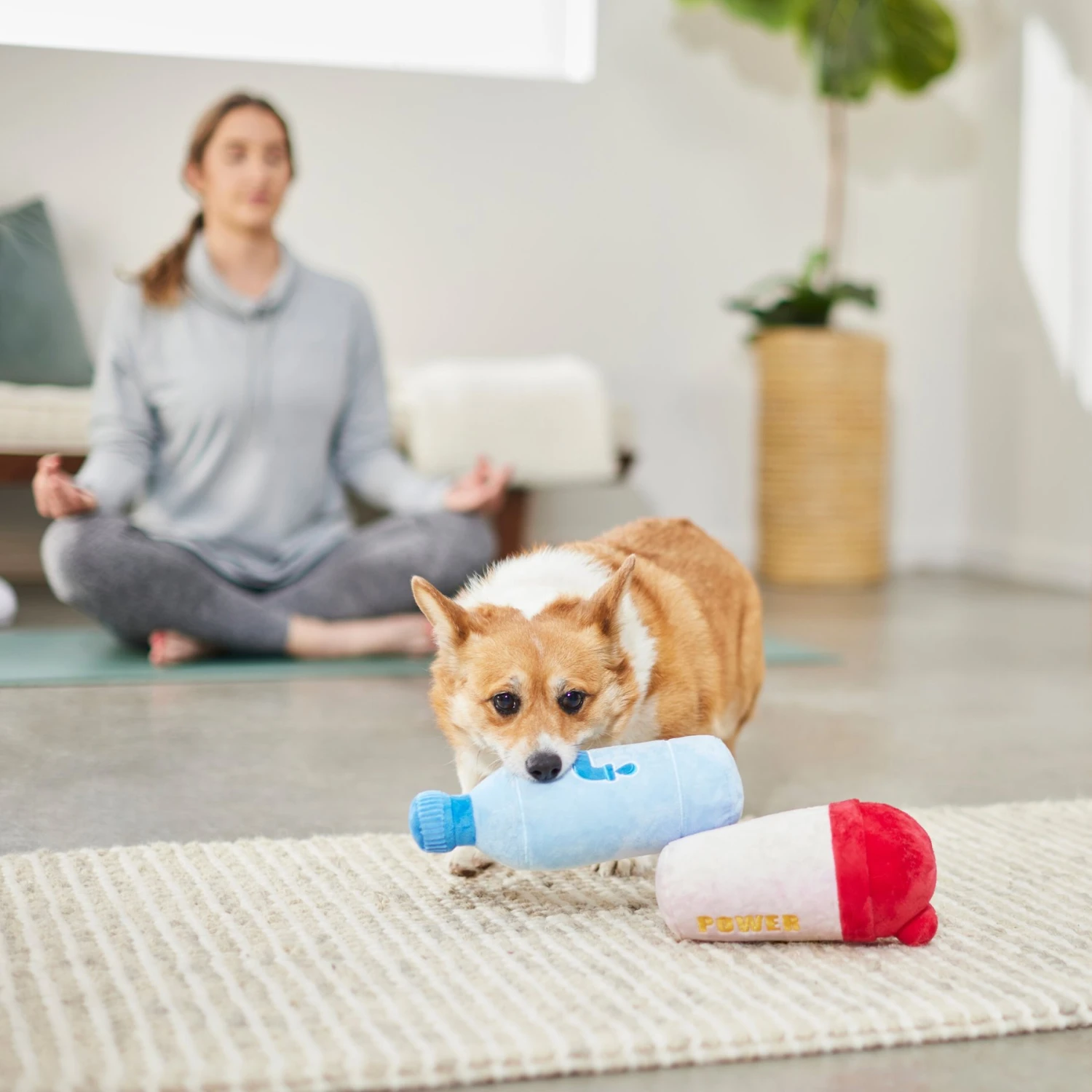 Frisco Protein & Water Bottle Cruncher Dog Toy 5 Frisco Protein & Water Bottle Cruncher Dog Toy - Image 3