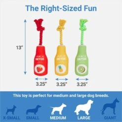 Frisco New Year, New Me Juice Cleanse Plush Squeaky Dog Toy -Chewy 288929 PT1. AC SS1800 V1640722486