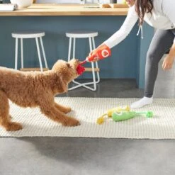 Frisco New Year, New Me Juice Cleanse Plush Squeaky Dog Toy -Chewy 288929 PT3. AC SS1800 V1638289348