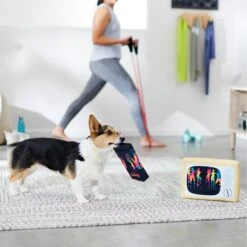 Frisco TV & VHS Tape Plush Squeaky Dog Toy, 2 Count 7 Frisco TV & VHS Tape Plush Squeaky Dog Toy, 2 Count -Chewy 288935 PT3. AC SS1800 V1638291435