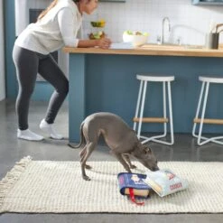 Frisco Cookbooks Plush Squeaky Dog Toy, 2 Count -Chewy 288937 PT3. AC SS1800 V1638287852