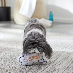 Frisco Message Bubble Plush Squeaky Dog Toy 9 Frisco Message Bubble Plush Squeaky Dog Toy -Chewy 288941 PT3. AC SS1800 V1638289328