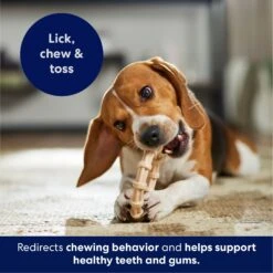 Frisco Ring Tough Nylon Chew Dog Toy, Chicken Flavor 12 Frisco Ring Tough Nylon Chew Dog Toy, Chicken Flavor -Chewy 290533 PT4. AC SS1800 V1695760990