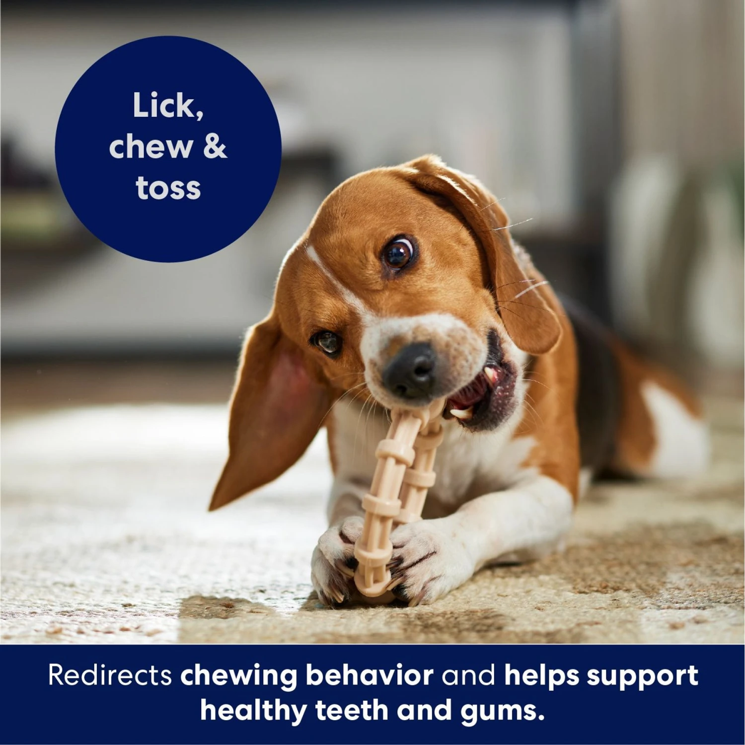 Frisco Ring Tough Nylon Chew Dog Toy, Chicken Flavor 7 Frisco Ring Tough Nylon Chew Dog Toy, Chicken Flavor - Image 5