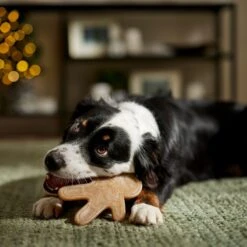 Frisco Nylon Gingerbread Dog Chew Toy, Beef Flavor, Medium -Chewy 291385 PT3. AC SS1800 V1668108316