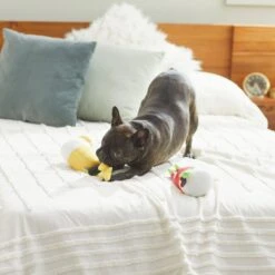 Frisco Brunch Bottomless Mimosas Plush Squeaky Dog Toy, 2 Count -Chewy 297226 PT2. AC SS1800 V1642088368