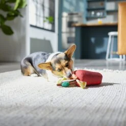 Frisco Brunch Bloody Mary Plush Squeaky Dog Toy -Chewy 297228 PT2. AC SS1800 V1642088343