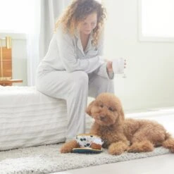 Frisco Brunch Teacup Plush Squeaky Dog Toy -Chewy 297232 PT3. AC SS1800 V1642087957