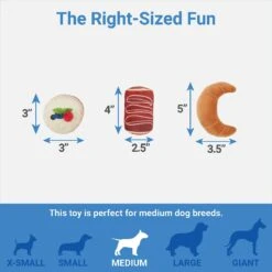 Frisco Brunch Pastry Plate Plush Squeaky Dog Toy 8 Frisco Brunch Pastry Plate Plush Squeaky Dog Toy -Chewy 297262 PT2. AC SS1800 V1643916710