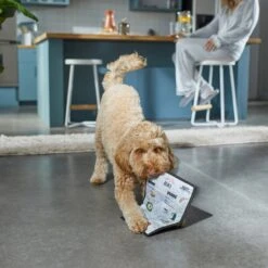 Frisco Brunch Menu Ballistic Nylon Flat Plush Squeaky Dog Toy -Chewy 297276 PT2. AC SS1800 V1642088788