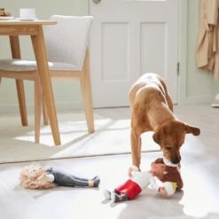 Frisco Brunch Chef & Waitress Plush Squeaky Dog Toy, 2 Count -Chewy 297278 PT2. AC SS1800 V1642088629