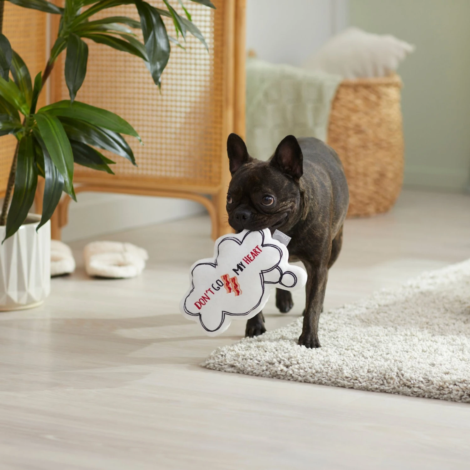 Frisco Brunch Word Bubble Plush Squeaky Dog Toy 6 Frisco Brunch Word Bubble Plush Squeaky Dog Toy - Image 4