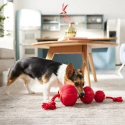 Frisco Lunar New Year Lantern Plush With Rope Squeaky Dog Toy -Chewy 298885 PT3. AC SS1800 V1640269279