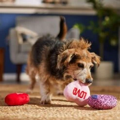 Frisco Valentine Hearts Plush Squeaky Dog Toy -Chewy 298919 PT3. AC SS1800 V1701365170