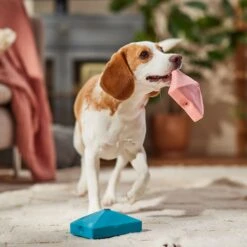 Frisco Valentine Love Letters Latex Squeaky Dog Toy -Chewy 298925 PT3. AC SS1800 V1701365173