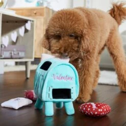 Frisco Valentine Love Letters Hide & Seek Puzzle Plush Squeaky Dog Toy -Chewy 298929 PT3. AC SS1800 V1638987486