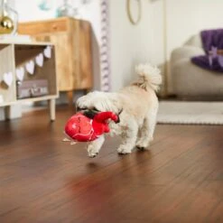 Frisco Valentine Anatomical Heart Plush Squeaky Dog Toy -Chewy 298933 PT3. AC SS1800 V1638987632