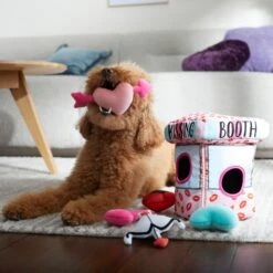 Frisco Valentine Kissing Booth Hide & Seek Puzzle Plush Squeaky Dog Toy -Chewy 298943 PT3. AC SS1800 V1638987417