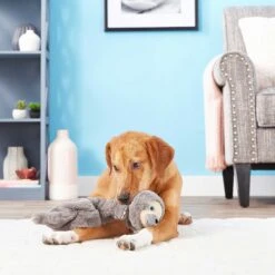 Frisco Giraffe Bungee Plush Squeaky Dog Toy & Frisco Sloth Bungee Plush Squeaky Dog Toy 19 Frisco Giraffe Bungee Plush Squeaky Dog Toy & Frisco Sloth Bungee Plush Squeaky Dog Toy -Chewy 302402 PT8. AC SS1800 V1623091941