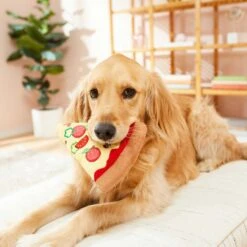 Frisco Pizza Slice Plush Squeaky Dog Toy & Frisco Taco Plush Squeaky Dog Toy -Chewy 302494 PT3. AC SS1800 V1623051762