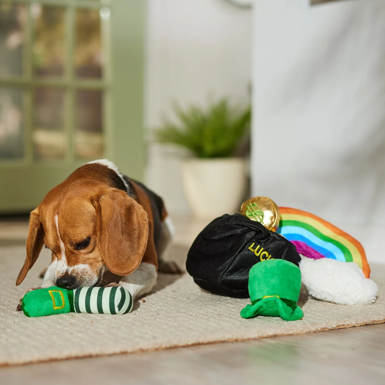 Frisco St. Patrick's Pot Of Gold Hide & Seek Puzzle Plush Squeaky Dog Toy 7 Frisco St. Patrick's Pot Of Gold Hide & Seek Puzzle Plush Squeaky Dog Toy - Image 5
