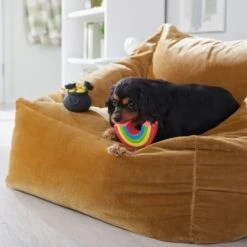 Frisco St. Patrick's Rainbow And Pot Of Gold Latex Squeaky Dog Toy -Chewy 303136 PT4. AC SS1800 V1702500566