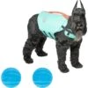 Frisco Active Dog Life Jacket & Frisco Foam Rubber Floating Fetch Ball No Squeak Dog Toy 2 Frisco Active Dog Life Jacket & Frisco Foam Rubber Floating Fetch Ball No Squeak Dog Toy -Chewy 303364 MAIN. AC SS1800 V1623163652