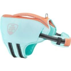 Frisco Active Dog Life Jacket & Frisco Foam Rubber Floating Fetch Ball No Squeak Dog Toy -Chewy 303364 PT2. AC SS1800 V1623163059