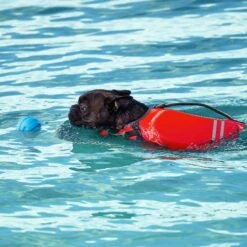 Frisco Active Dog Life Jacket & Frisco Foam Rubber Floating Fetch Ball No Squeak Dog Toy -Chewy 303364 PT8. AC SS1800 V1623163654