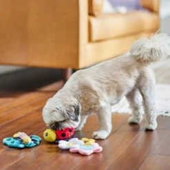 Frisco Spring Pack Plush Squeaky Dog Toy -Chewy 304950 PT4. AC SS1800 V1703184715