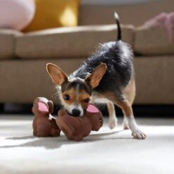 Frisco Easter Chocolate Bunnies Latex Squeaky Dog Toy -Chewy 304956 PT4. AC SS1800 V1700162989