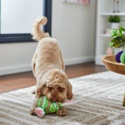 Frisco Easter Bunny Egg Plush Squeaky Dog Toy -Chewy 304960 PT4. AC SS1800 V1702500564