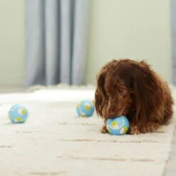 Frisco Easter Fetch Squeaky Tennis Ball Dog Toy, Medium, 3 Count 10 Frisco Easter Fetch Squeaky Tennis Ball Dog Toy, Medium, 3 Count -Chewy 304964 PT4. AC SS1800 V1703184745