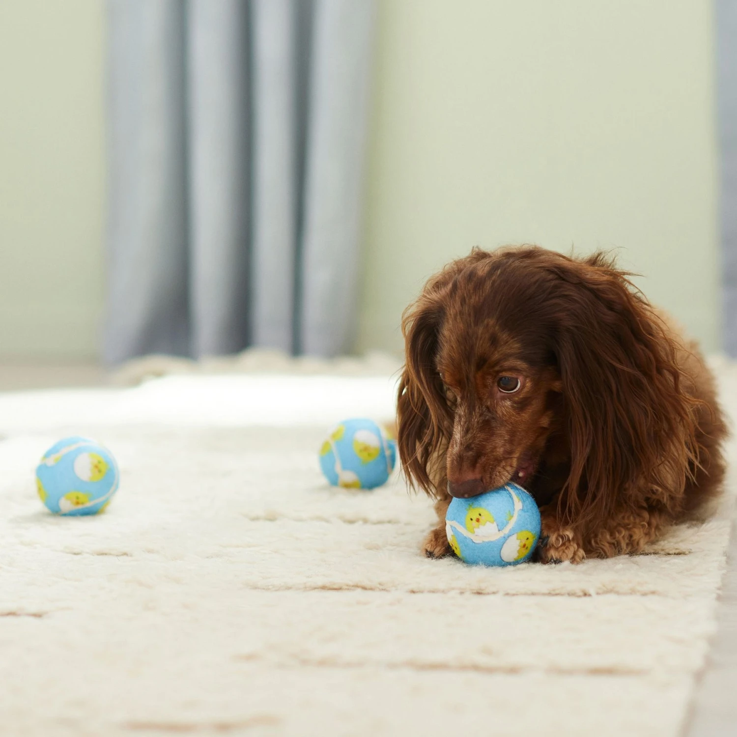 Frisco Easter Fetch Squeaky Tennis Ball Dog Toy, Medium, 3 Count 6 Frisco Easter Fetch Squeaky Tennis Ball Dog Toy, Medium, 3 Count - Image 4