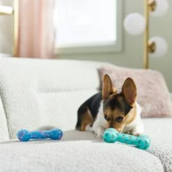 Frisco Easter TPR Bone Squeaky Dog Toy, Medium/Large, 2 Count -Chewy 304966 PT4. AC SS1800 V1670608502