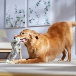 Frisco Easter Bunny Plush With Rope Squeaky Dog Toy -Chewy 304974 PT4. AC SS1800 V1702500566