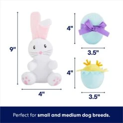 Frisco Easter Basket Hide & Seek Puzzle Plush Squeaky Dog Toy -Chewy 304982 PT2. AC SS1800 V1702665735