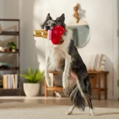 Frisco Valentine Ice Cream Plush Squeaky Dog Toy 8 Frisco Valentine Ice Cream Plush Squeaky Dog Toy -Chewy 312895 PT3. AC SS1800 V1701364917