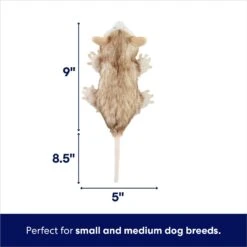 Frisco Realistic Opossum Plush Squeaky Dog Toy 9 Frisco Realistic Opossum Plush Squeaky Dog Toy -Chewy 316929 PT1. AC SS1800 V1695761017