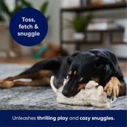 Frisco Realistic Opossum Plush Squeaky Dog Toy 12 Frisco Realistic Opossum Plush Squeaky Dog Toy -Chewy 316929 PT4. AC SS1800 V1695760990