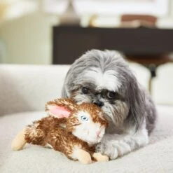 Frisco Realistic Plush Rabbit Plush Dog Toy, Small 7 Frisco Realistic Plush Rabbit Plush Dog Toy, Small -Chewy 316933 PT2. AC SS1800 V1641400634