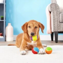 Frisco Fetch Squeaking Colorful Tennis Ball Dog Toy & Project Hive Pet Company Ball Dog Toy -Chewy 319024 PT3. AC SS1800 V1630550869