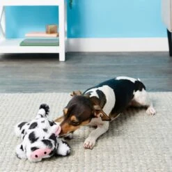 Frisco Cow Plush Squeaky Dog Toy & Playology Scented Dual Layer Ring Dog Toy -Chewy 319488 PT3. AC SS1800 V1630626696