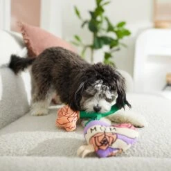 Frisco Mother's Day Rose & Heart Plush Squeaky Dog Toy, 2 Count 7 Frisco Mother's Day Rose & Heart Plush Squeaky Dog Toy, 2 Count -Chewy 327033 PT3. AC SS1800 V1646947953