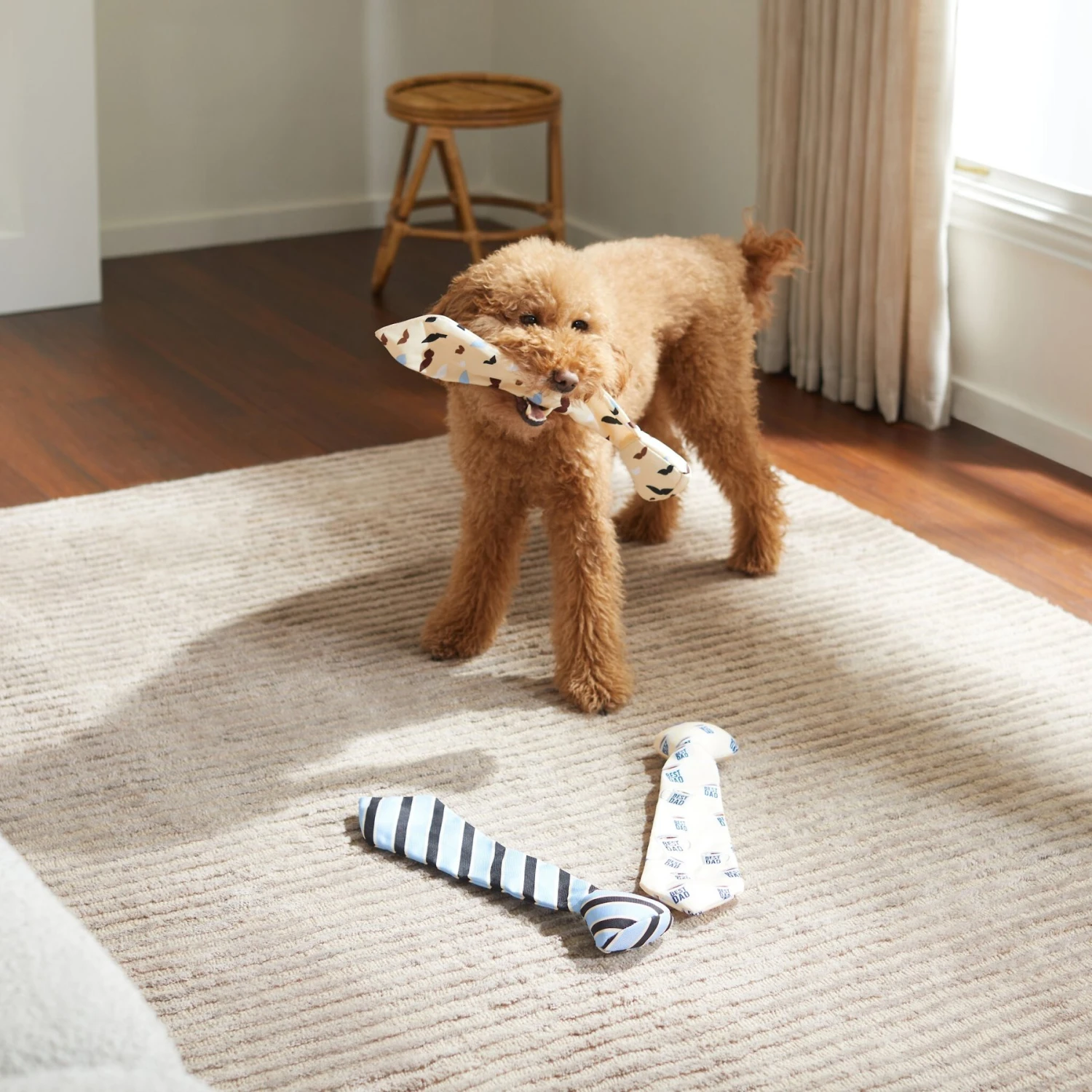 Frisco Ties Plush Dog Toy, 3 Count 5 Frisco Ties Plush Dog Toy, 3 Count - Image 3