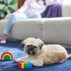 Frisco Pride Rainbow & Heart Latex Squeaky Dog Toy, 2 Count 7 Frisco Pride Rainbow & Heart Latex Squeaky Dog Toy, 2 Count -Chewy 331632 PT3. AC SS1800 V1647355825