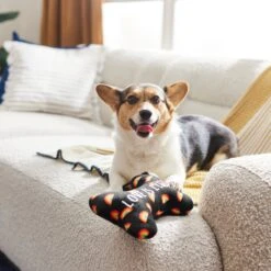 Frisco Pride Proud Pup Bone Plush Squeaky Dog Toy -Chewy 331638 PT3. AC SS1800 V1647355940