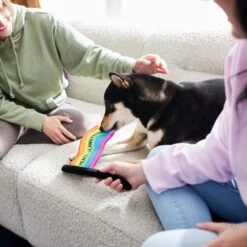 Frisco Pride Flag Flat Squeaky Dog Toy 7 Frisco Pride Flag Flat Squeaky Dog Toy -Chewy 331640 PT3. AC SS1800 V1647355852