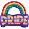 Frisco Pride Rainbow Plush With Rope Squeaky Dog Toy 1 Frisco Pride Rainbow Plush With Rope Squeaky Dog Toy -Chewy 331653 MAIN. AC SS1800 V1649086609