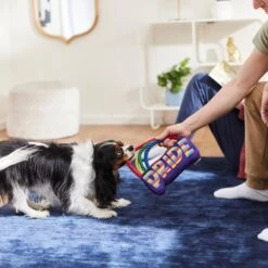 Frisco Pride Rainbow Plush With Rope Squeaky Dog Toy 7 Frisco Pride Rainbow Plush With Rope Squeaky Dog Toy -Chewy 331653 PT3. AC SS1800 V1647356026